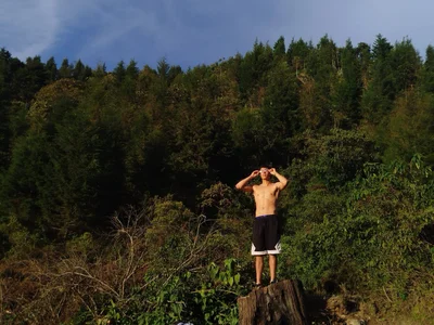 Wolf_light Public Immagine  9