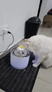 claryssa_ EPIC GOALS ACHIEVED♥ Foto 6