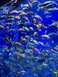 yuno_dayo もっとゆの صورة واحدة|yuno_dayo もっとゆの صورتان|yuno_dayo もっとゆの  5 صور|yuno_dayo もっとゆの  5 صورة