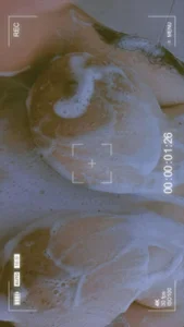 foam game😈 de Alina0  2 Imagens