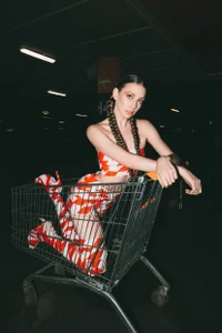 VeronicaVances kullanıcısının Do Not Cross albümü -  3 fotoğraf