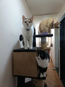 charlloteevans_X Michis Foto 7