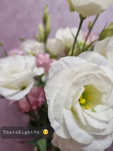 PrettieKate Flowers Pic 3