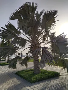 Public de Sperma_v_rotic  8 photos