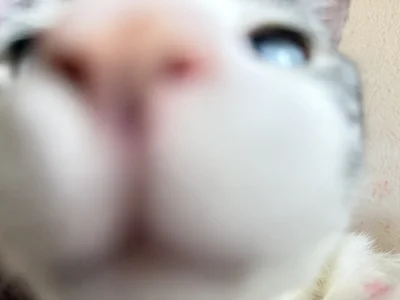 Bunnyylovee 😺 Billede 5