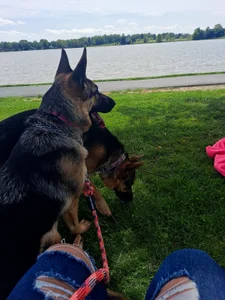 Big_Booty_Bonnie Public Pic 9