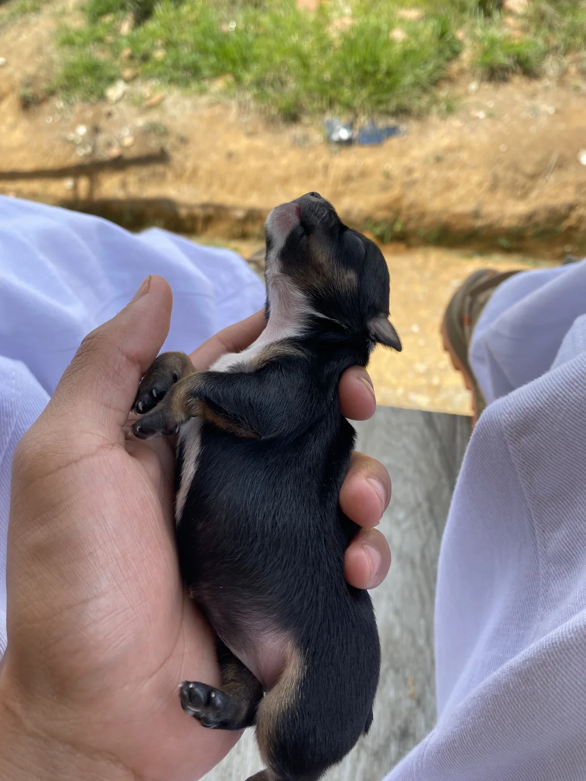 Fernando_Official Trendy obrázky 6115