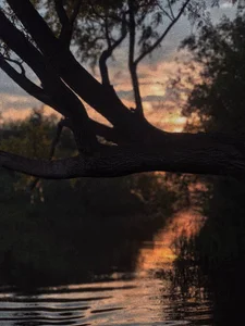 elenaaddiction my hobbies: Pic 9