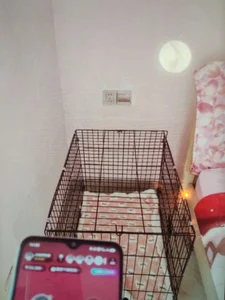 kabogire-555 sm资深玩家 Pic 3