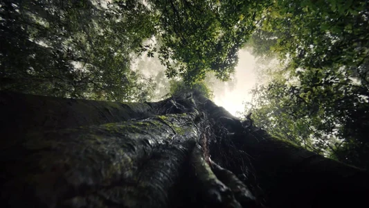 Belover_nana Public Kuva 2