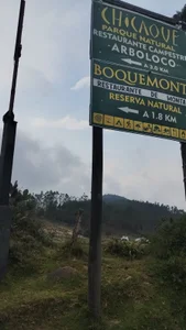 Tom_cooper_ An excellent trip Pic 8