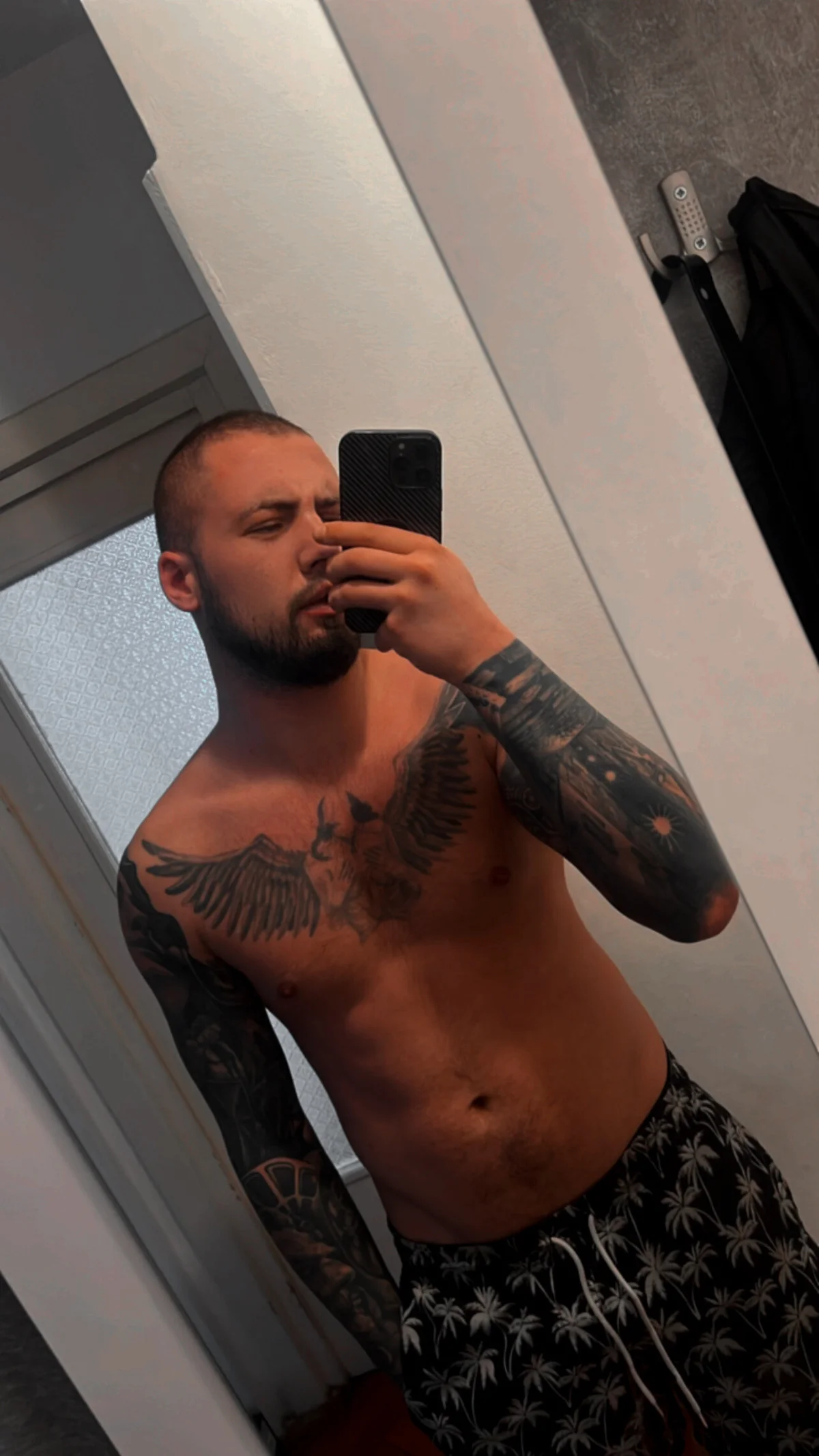 labdbdj  4849. kiemelt képe