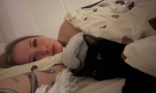 My kitty de royce_ghost1  3 Imagens