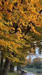 ArianaAllens 🍂🍂🍂 Pic 4