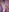 -ethan7inches-'s photo