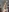 Angy_Netal's photo
