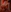 morphesoull's photo