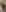 nudes