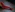 HappyDee's photo