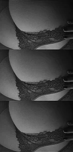 Public de ursecretbunny  5 Imagens