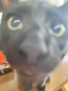 Gxhmelx-xiaoxiao 调皮捣蛋❤️ 圖片 3