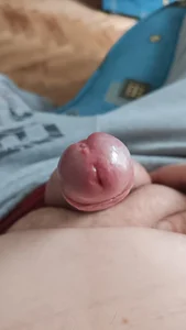 SugaryFinder1Public图片 2