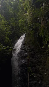 Sara_colyn You and me in nature🥰🍃 Foto 2