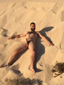 gridehero free зображення