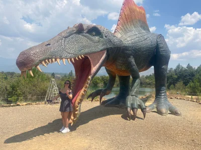 AtheneaRossi kullanıcısının The valley of the dinosaurs albümü -  4 fotoğraf