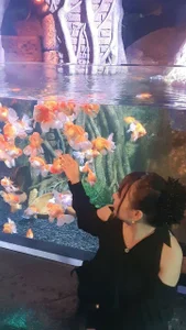 Emily-NguyenのMemories in Bangkok, Thailandの 5枚の写真