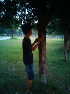 Crew289 kullanıcısının Public albümü -  3 fotoğraf