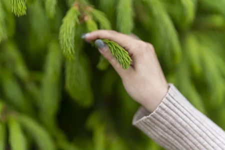 In the right eyes you will be art od MartaEdams  snímek