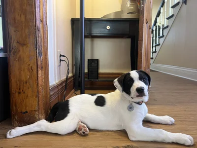 CowboyZuhly Public Pic 6