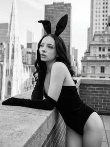 Bunny de aftermenothing  Imagens