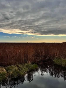 AlexFH Just walking along the eco trail Foto 2