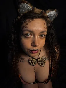 Ruby_diamondsmischievous kitten图片 2