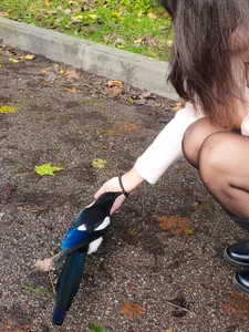 summer de LeonaLane  2 photos