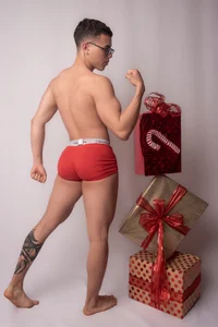 Nicksantoss 𝓬𝓱𝓻𝓲𝓼𝓽𝓶𝓪𝓼🌲☃️ Foto 2