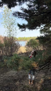 AriaEven's photo