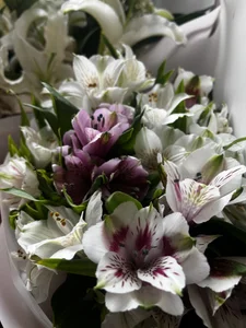 curvycatwow My b-day🎉I love flowers صورة واحدة|curvycatwow My b-day🎉I love flowers صورتان|curvycatwow My b-day🎉I love flowers  9 صور|curvycatwow My b-day🎉I love flowers  9 صورة