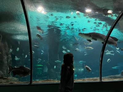 ReneeLippeatt Depths of the Ocean 사진 5