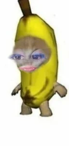 avi_frost Public Εικόνα 5