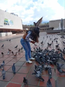 HaileeRoberts Pigeon attack 🕊️ صورة واحدة|HaileeRoberts Pigeon attack 🕊️ صورتان|HaileeRoberts Pigeon attack 🕊️  3 صور|HaileeRoberts Pigeon attack 🕊️  3 صورة