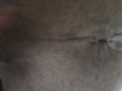 Kral86 Public  5. fénykép