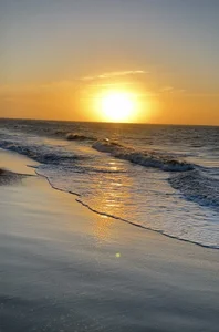 paauly Riding with a beautiful sunset Pic