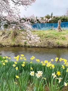 HinaLovely My life Pic 7