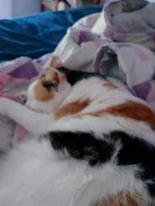 Bebita-zmpPuedo ser toda para vos mi amor Bild 7