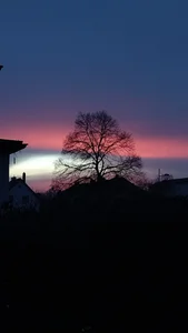 Die-geile-Sau 0 사진 3