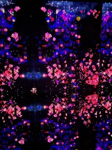 kaizer4545 Public Foto 2