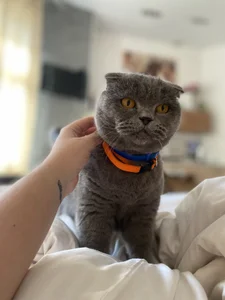 me with my lovely girl od SugarMuse  9 snímek